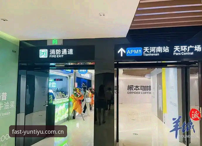云体育官方入口最新动态：2024安全直达通道全面评测，用户陈浩亲测体验分享